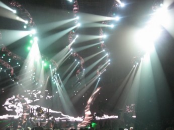 n1253714431_30031747_1281